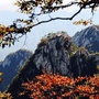 河南省鲁山