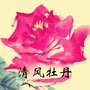 山东省牡丹区微信公众号