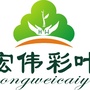 南城县宏伟彩叶苗木园艺场