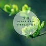 南宫瑾