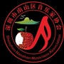 黑龙江南山区音乐家协会微信公众号