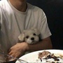 南陆一江