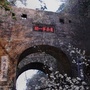 广东省南雄市旅游公司_南雄市香溢工贸有限公司
