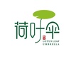 河南省南召荷叶伞