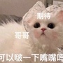 甘肃省宁礼貌吗呀