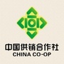 山东省宁阳县宁阳县葛石供销社