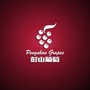 四川省彭山葡萄