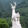 彭州市关沟村青年