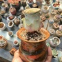 彭州市三王村青年