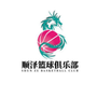 广西省平果市顺泽篮球俱乐部