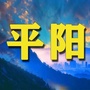 平阳这点事