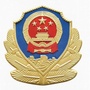 平原公安POLICE