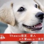 邳州市小动物保护会PZSAPA