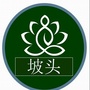 广东省坡头消息微信公众号