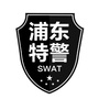 上海市浦东特警_女特警之暗战 电影
