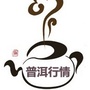 普洱行情