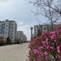 前锋三委家园