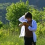 千山叠叠高入云