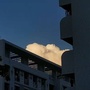 四川省青羊