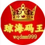 琼海码王