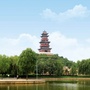 河北省曲周动态