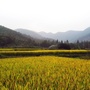 四川省仁和永_仁和永胜村