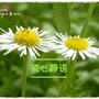 四川省荣心静语：荣心食品有限责任公司