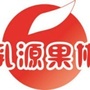 广东省乳源瑶族自治县水果产业协会（中国水果行业协会）