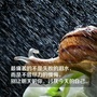 河南省汝州市波哥广告有限公司