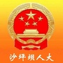 重庆市沙坪坝人大