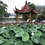 河南省沈丘县纸店育新微信公众号