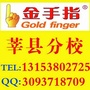 莘县金手指