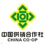 四川省什邡市金穗会计服务有限公司微信公众号
