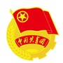 舒城县共青团