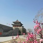 河南省睢阳文物微信公众号