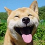 陕西省太白