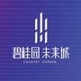 江西省泰和碧桂园未来城