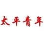 辽宁省太平社区青年