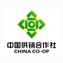河南省台前供销-供销社节前安全检查