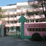 浙江省泰顺县育才幼儿园微平台-运河区教育网官网