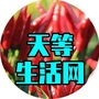 广西省天等生活（广西崇左市天等县教师招聘）