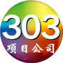 天元303项目公司