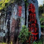 江西省铜鼓微信公众号