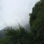 四川省通江县源泰种植养殖专业合作社