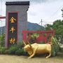 浙江省桐庐县城南街道金牛村