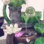 河南省尉氏小荷作文