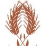 山东省汶上粮食_中国粮食网