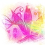 四川省武侯区潮音社区青年