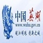 芜湖市人民政府发布