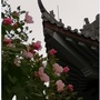 福建省武夷山广福寺微信公众号
